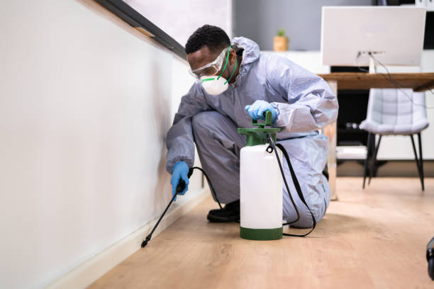 Best Real Estate Pest Inspections  in Wauseon, OH